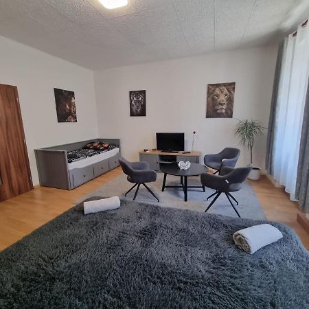 Cerny Tulipan - Apartman 1 Plzen Luaran gambar