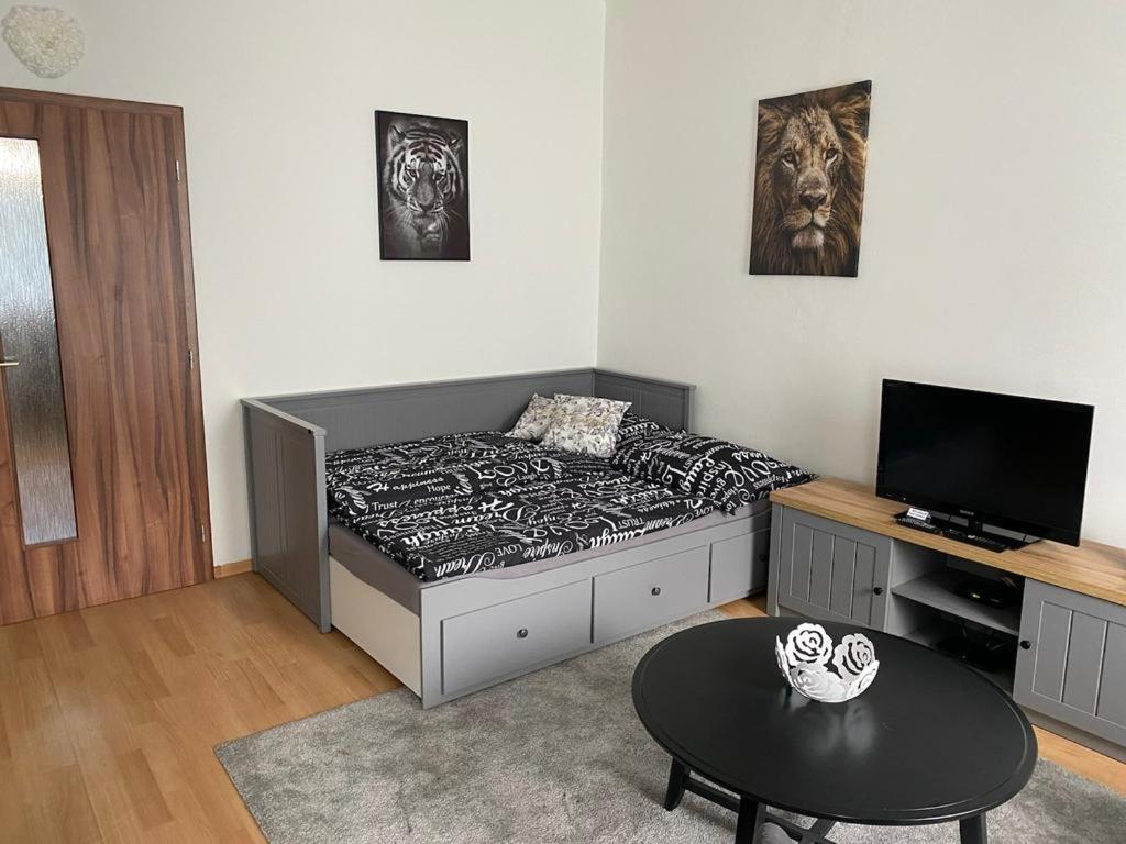 Cerny Tulipan - Apartman 1 Plzen Luaran gambar