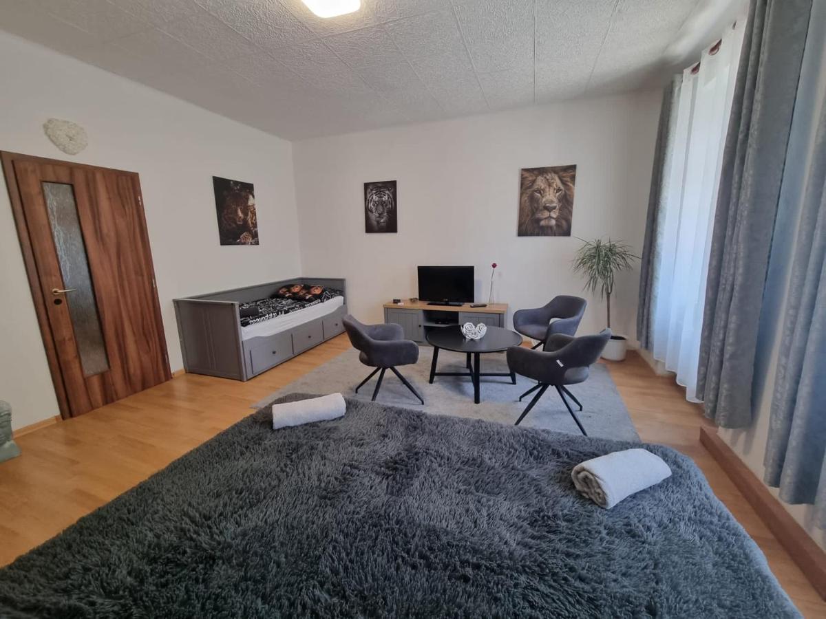 Cerny Tulipan - Apartman 1 Plzen Luaran gambar