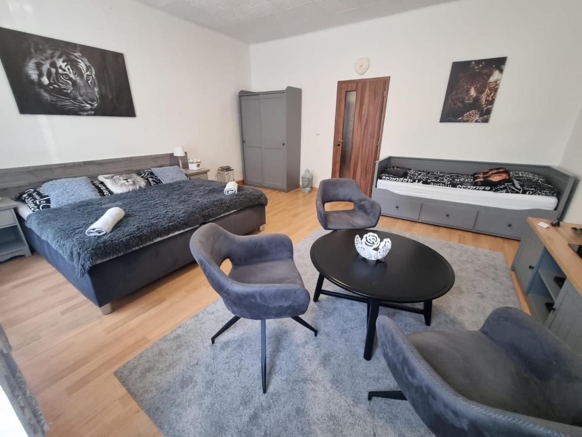 Cerny Tulipan - Apartman 1 Plzen Luaran gambar